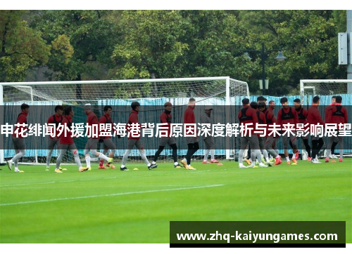 申花绯闻外援加盟海港背后原因深度解析与未来影响展望