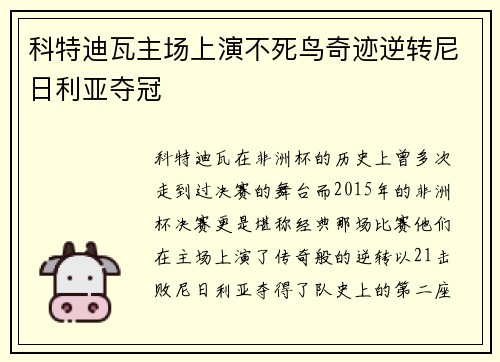 科特迪瓦主场上演不死鸟奇迹逆转尼日利亚夺冠