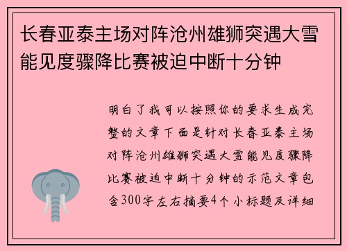 长春亚泰主场对阵沧州雄狮突遇大雪能见度骤降比赛被迫中断十分钟 长春亚泰主场对阵沧州雄狮突遇大雪能见度骤降比赛被迫中断十分钟